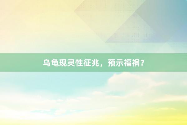 乌龟现灵性征兆，预示福祸？
